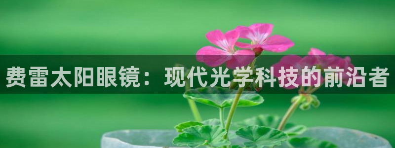新宝5侹刔