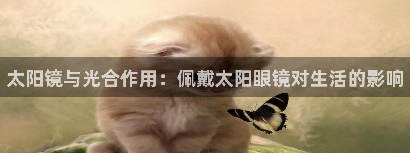 新宝5的网址