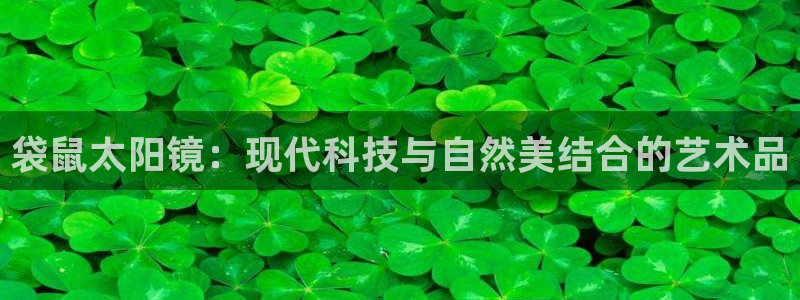 新宝5的网址