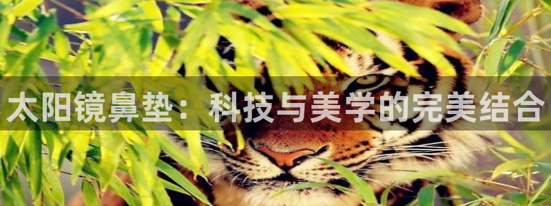 菲律宾新宝5老板