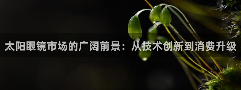 新宝cR一5