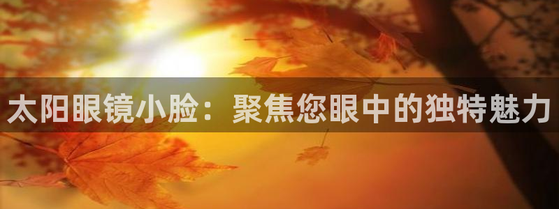 新宝5平台霸