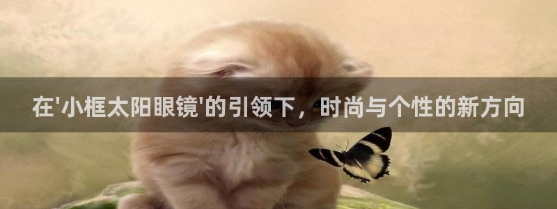 新宝5彩票娱乐平台