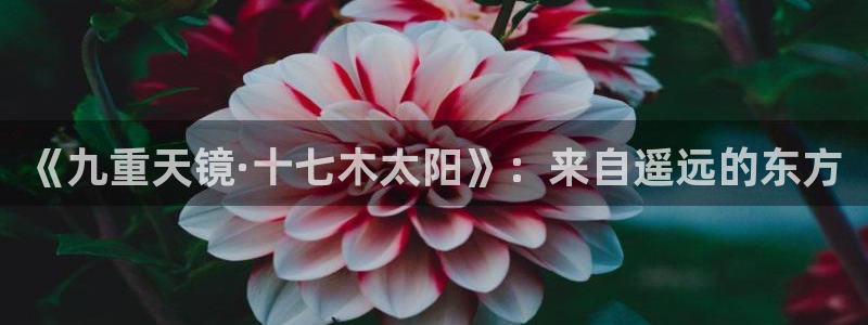 新宝5娱乐同