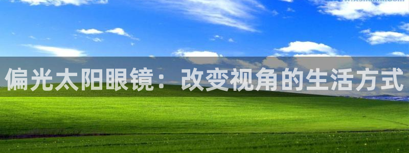 新宝股东王听2 5 5