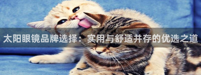 新宝5安卓版