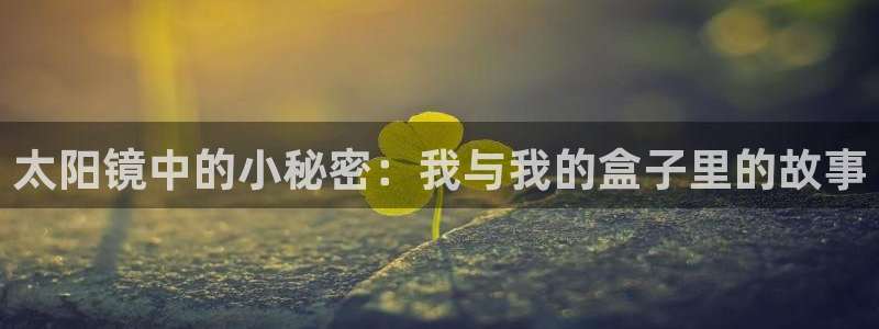 新宝5软件下载