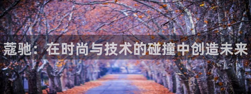 新宝5日