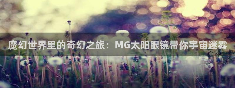 菲律宾新宝5老板