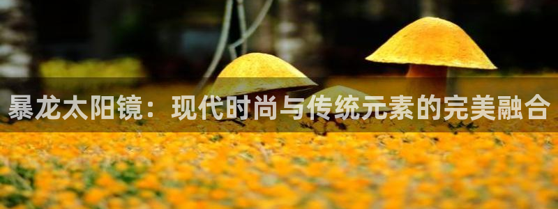 新宝5 - 测速登陆