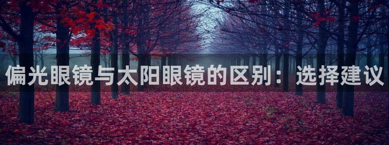 新宝5下载到桌面