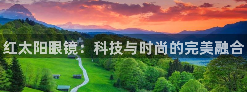 菲律宾新宝5老板